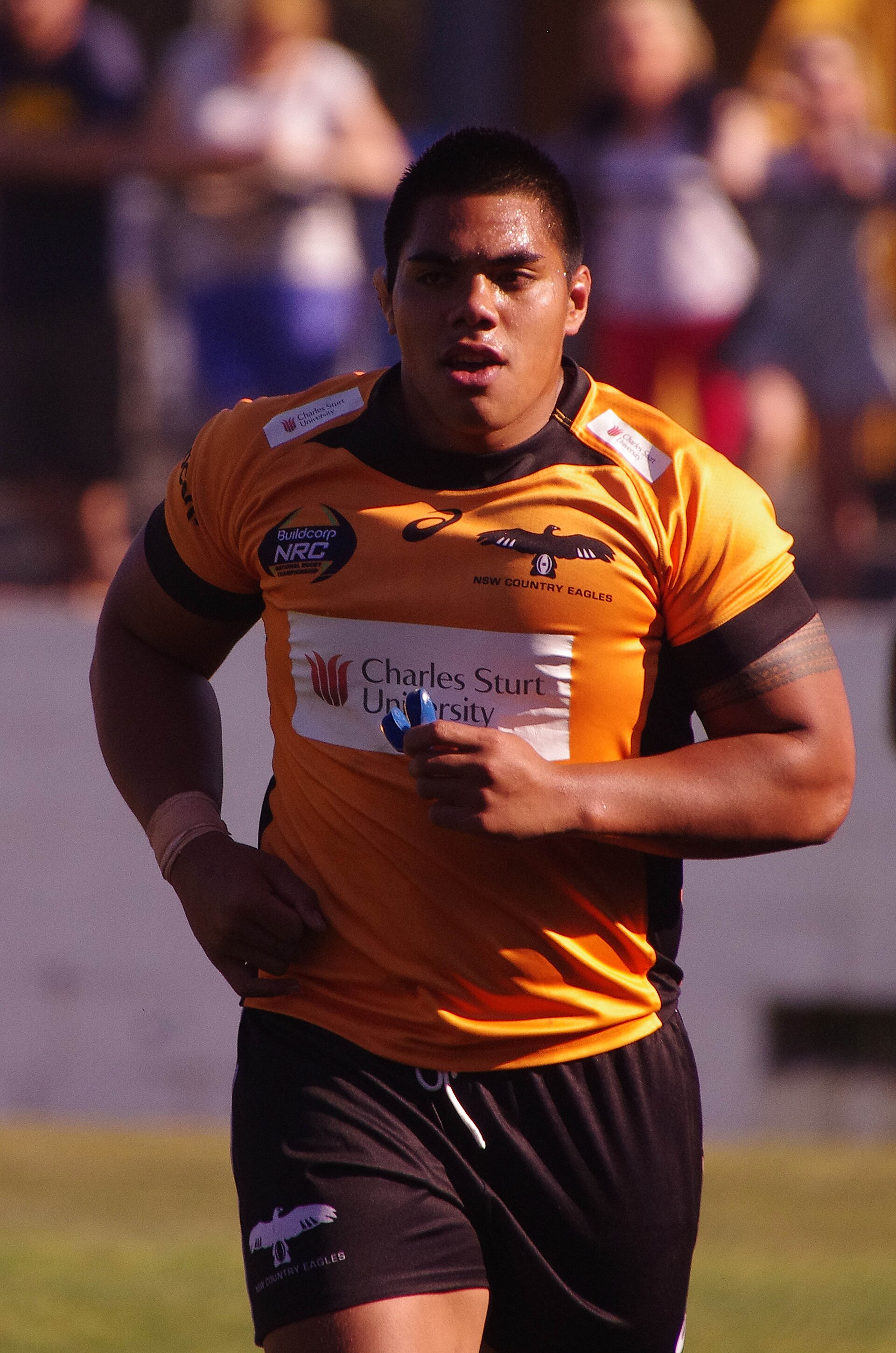 Imagem de referência de Michael Alaalatoa, descrito nos dados abertos como jogador de râguebi de quinze australiano