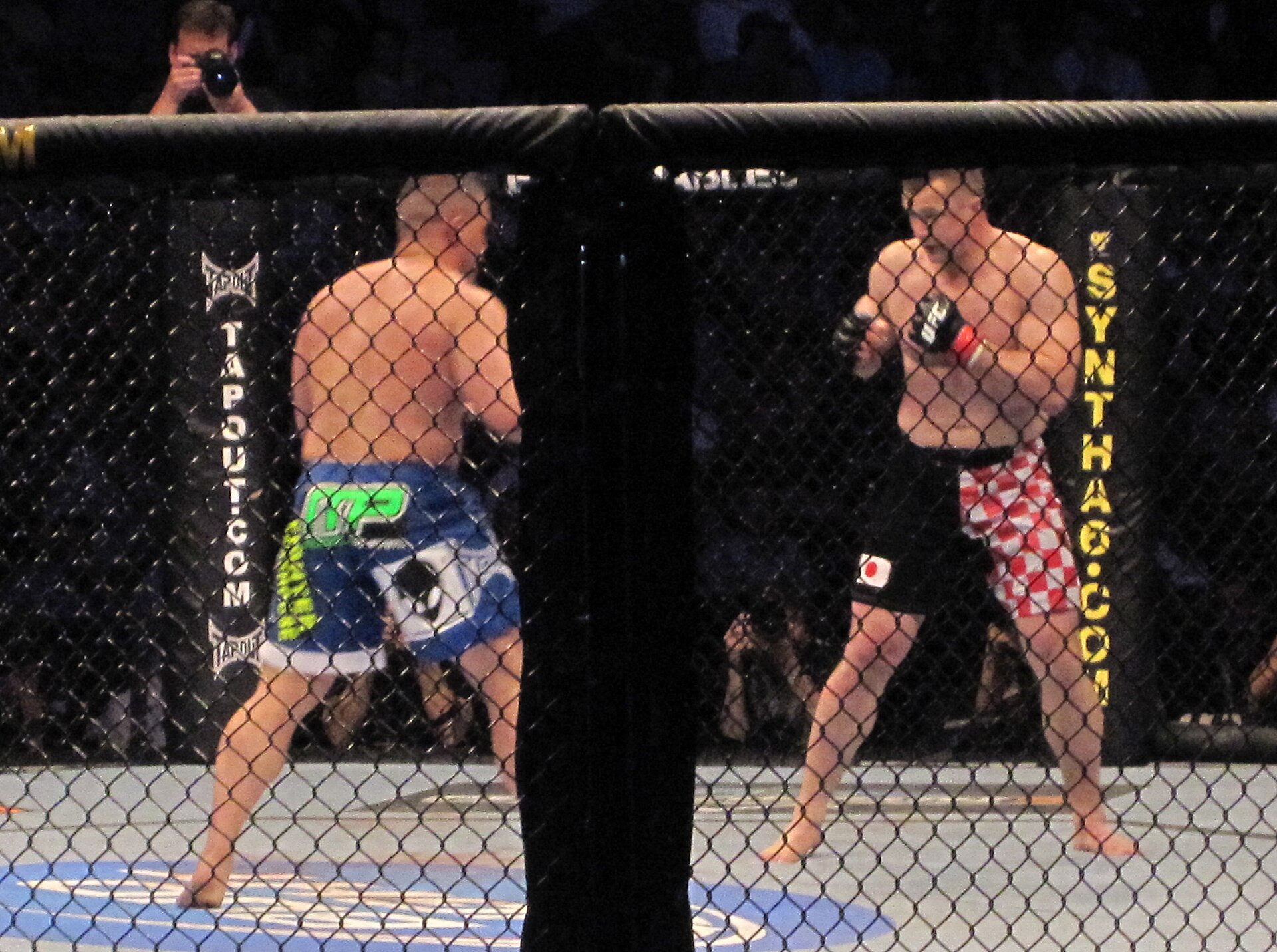 Imagem de referência relacionada a Mirko Filipović, item descrito como lutador de artes marciais mistas (MMA), kickboxer e policial croata