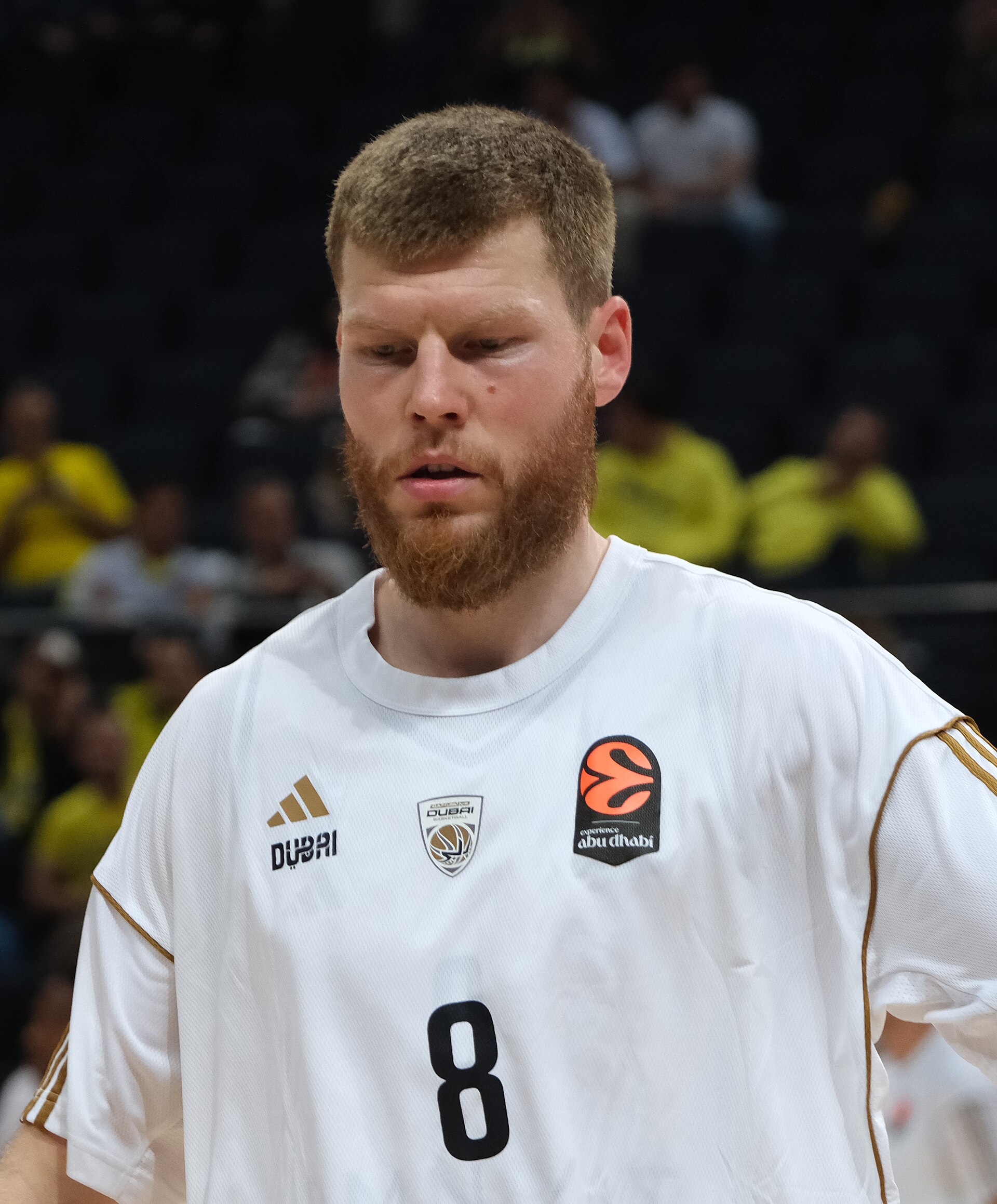 Imagem de referência relacionada a Dãvis Bertãns, item descrito como jogador de basquetebol letão