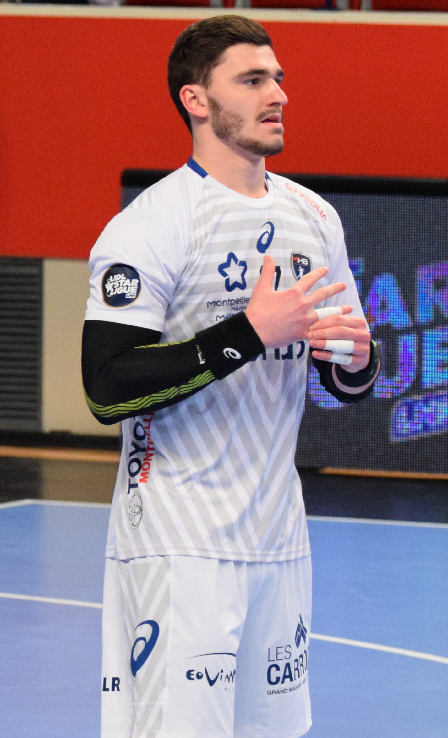 Imagem de referência de Ludovic Fabregas, descrito nos dados abertos como handebolista francês