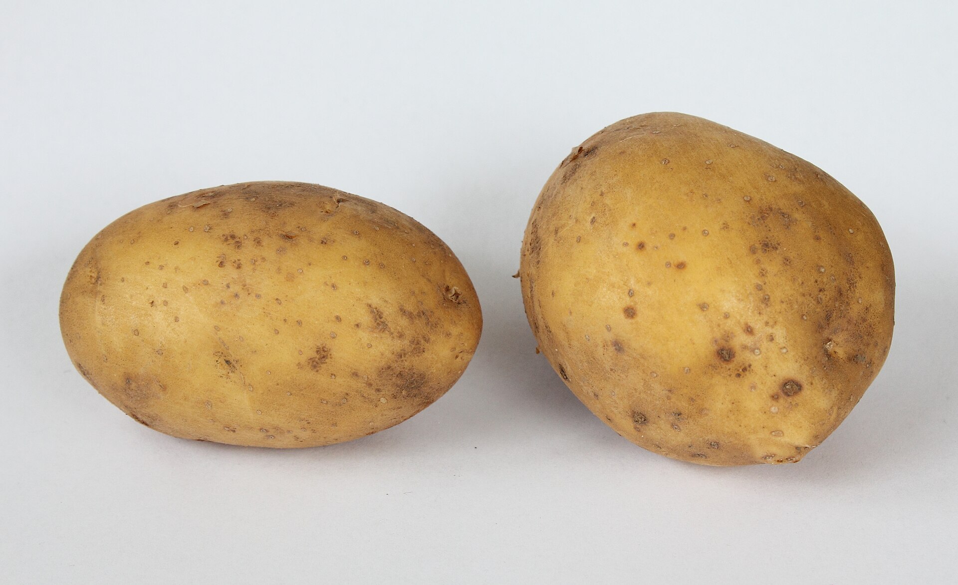 Imagem de referência de Linda, descrito nos dados abertos como cantora russa