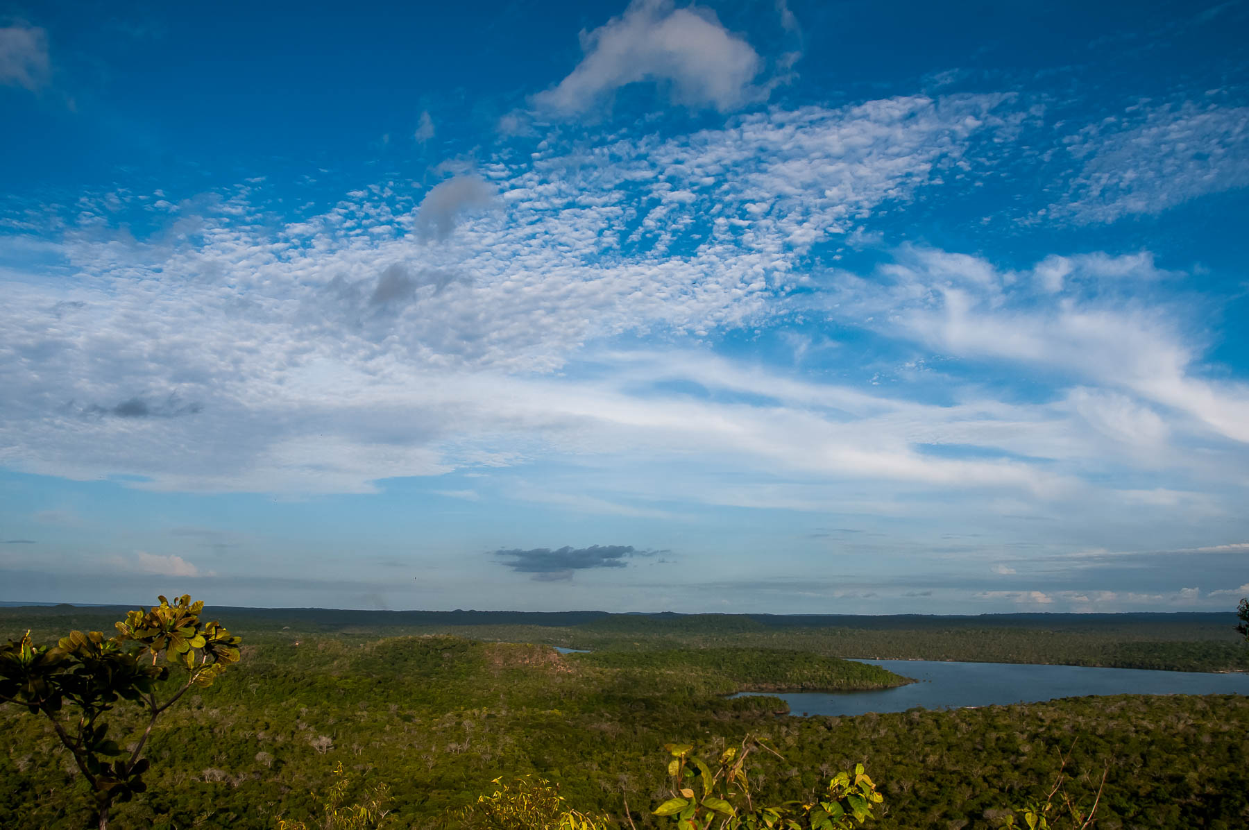 Imagem de referência de Floresta Nacional de Tapajós, descrito nos dados abertos como floresta Nacional de Tapajós de nível Federal, localizado (a) em Placas (PA), Rurópolis (PA), Belterra (PA), Aveiro (PA)