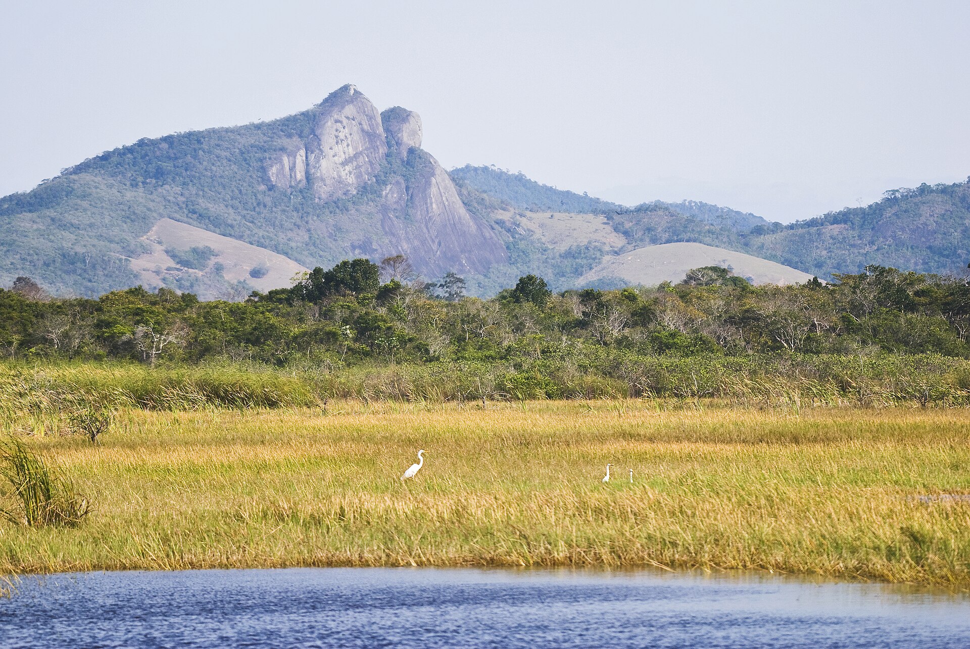 Imagem de referência de Parque Estadual Paulo César Vinha, descrito nos dados abertos como unidade de conservação da natureza pertencente ao governo do estado do Espírito Santo