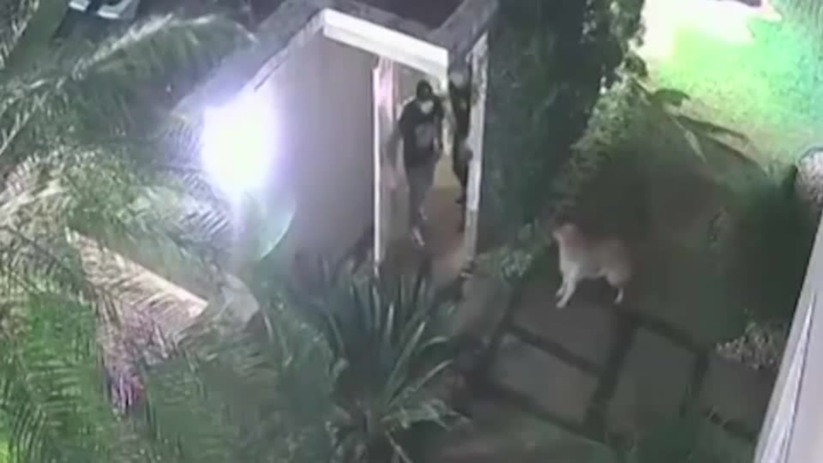 Criminosos invadiram imóvel pelos fundos e surpreenderam vítimas que voltavam de viagem; ninguém foi preso