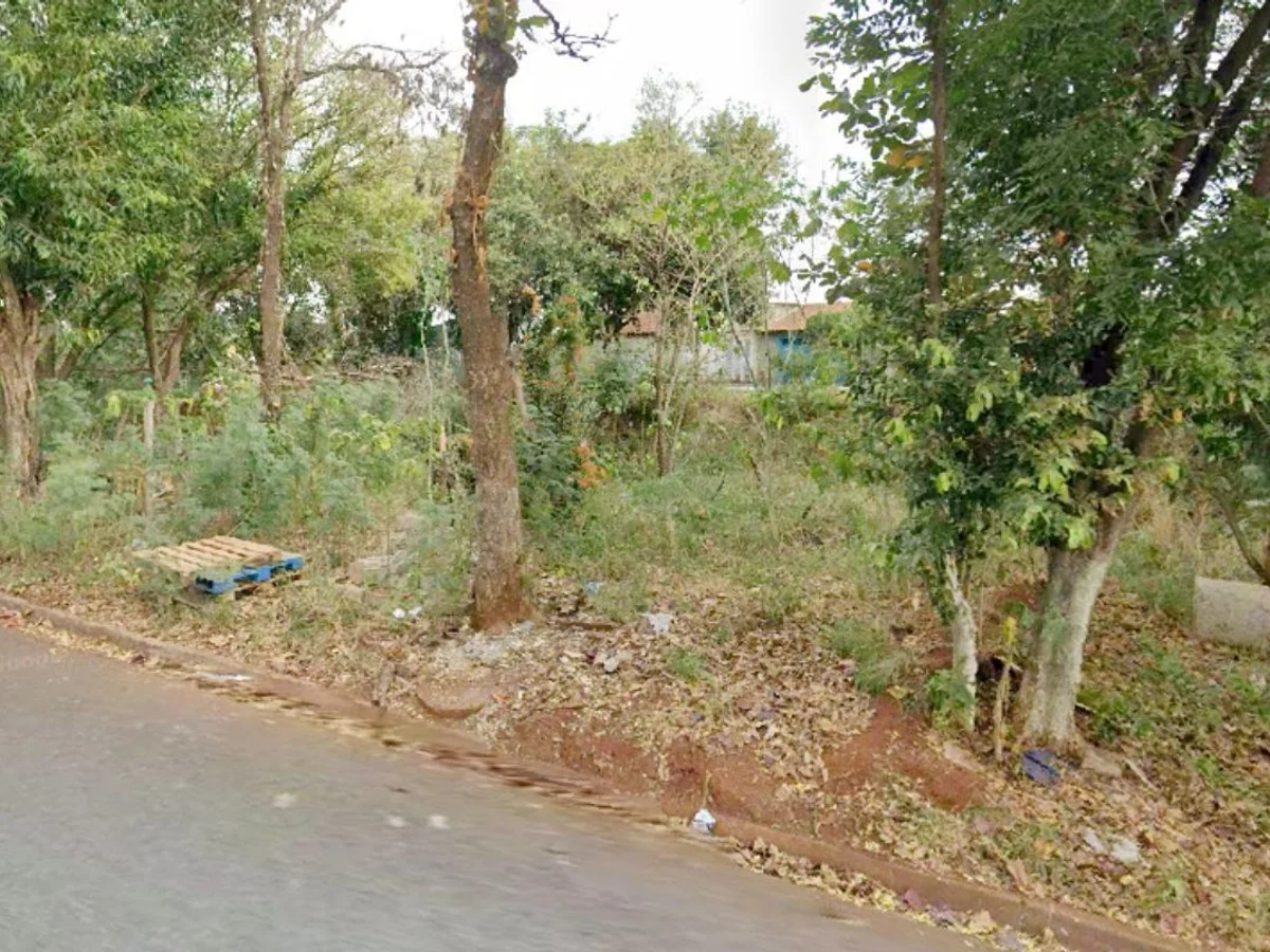 Mulher encontrada gravemente ferida em mata morre no interior de SP