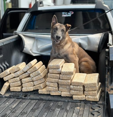 Polícia Federal prende homem com cerca de 40 kg de pasta base de cocaína em Piraí (RJ)
