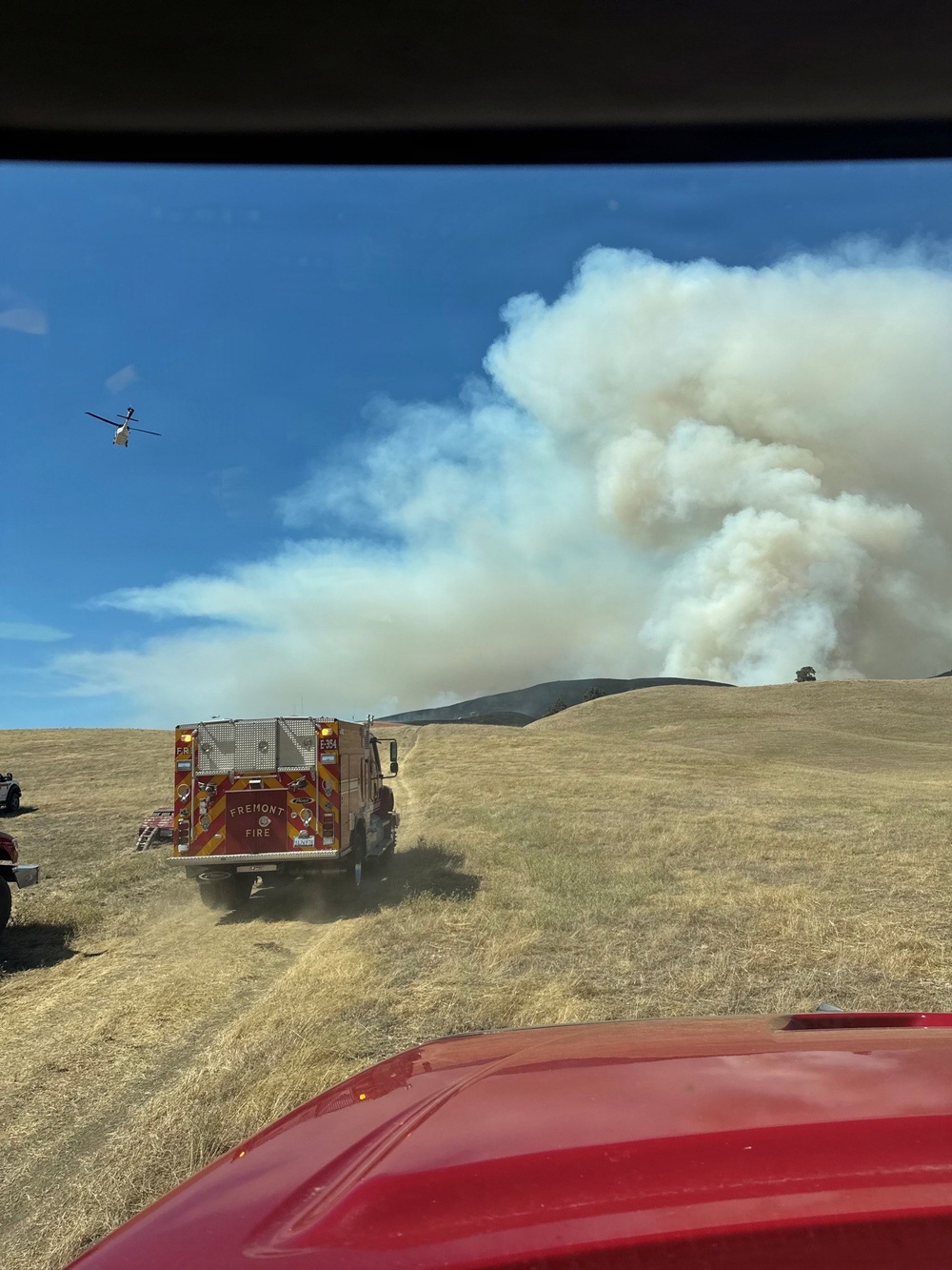Imagem relacionada à notícia: Parques de acampamento, equipe do Condado de Alameda até a batalha 1,000 - acre fogo de selva