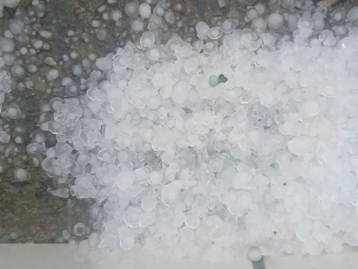 467 cidades de MG estão sob alerta de tempestade nesta quarta (9/9); veja