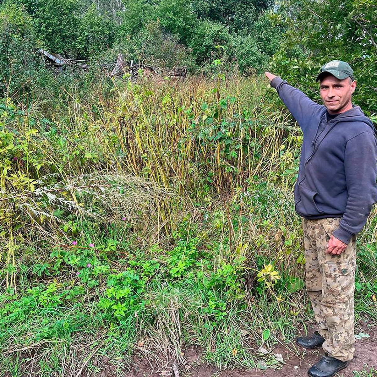 Os habitantes desapareciam um por um, a aldeia ficou vazia em um ano: o que se passa na Aldeia dos Mortos no isolamento de Pskov, onde uma mulher maníaca operava silenciosamente