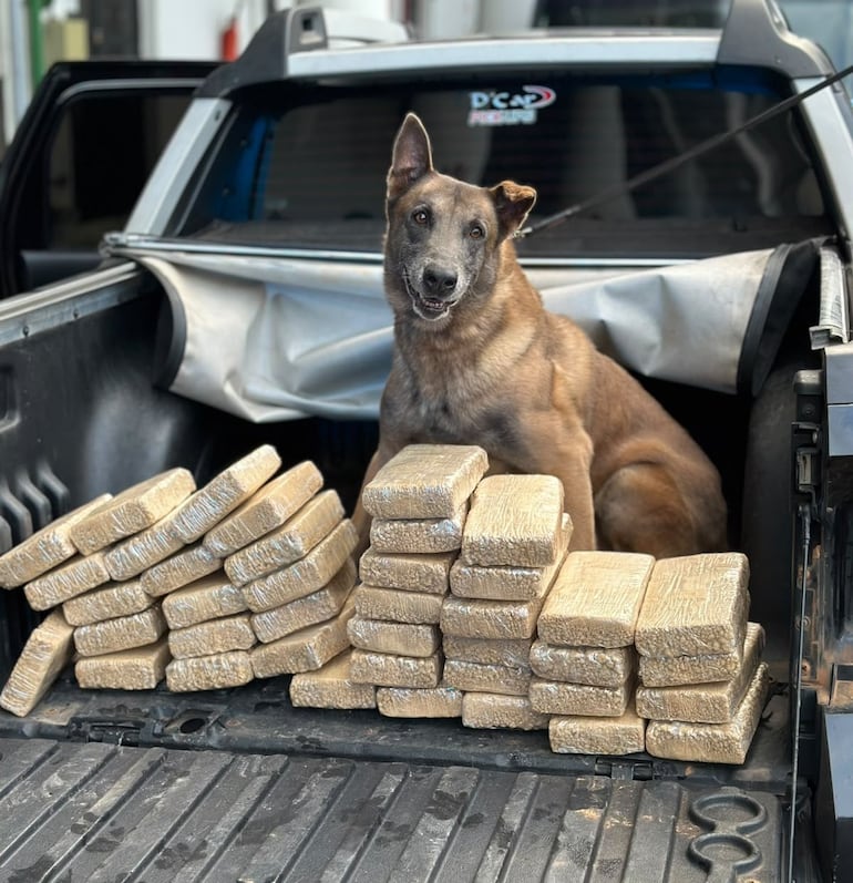 Polícia Federal prende homem com cerca de 40 kg de pasta base de cocaína em Piraí (RJ)