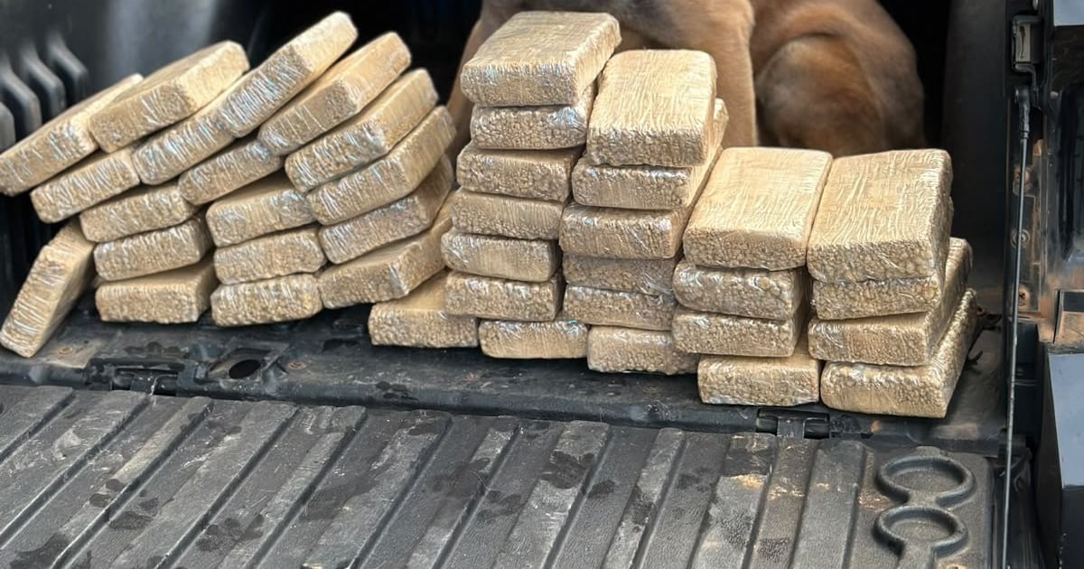 Polícia Federal prende homem com cerca de 40 kg de pasta base de cocaína em Piraí (RJ)