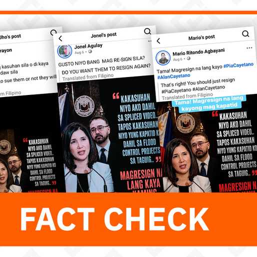 FACT CHECK: Pia Cayetano quote card on spliced video, Taguig flood control projects is fake