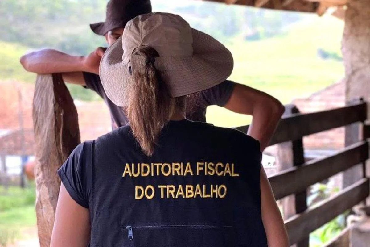 Operação resgata quase 500 trabalhadores em situação análoga à escravidão
