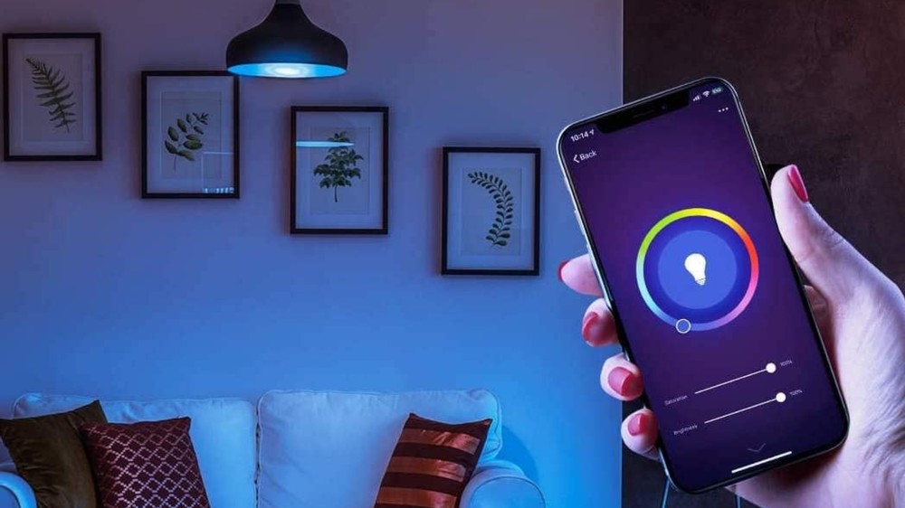 A Alexa pode controlar outros aparelhos smart, como lâmpadas inteligentes, a partir de comandos de voz — Foto: Divulgação/Ledo