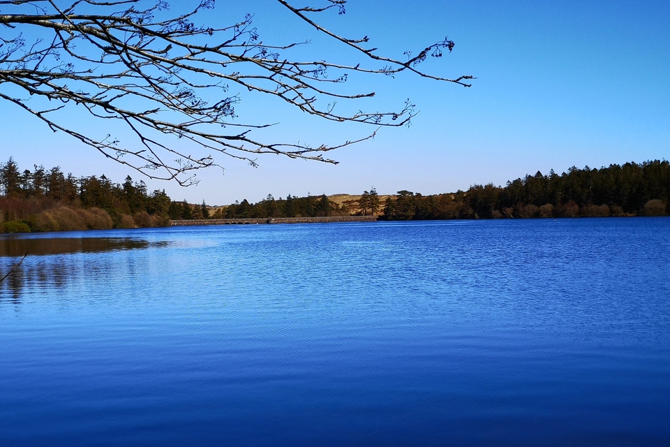 Imagem relacionada à notícia: O secretário do ambiente visita o reservatório de Havant Thicket enquanto o governo fortalece a resiliência