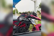 Desempregada, Pam do Grau é alvo da PCMT por movimentar R$ 928 mil com bets