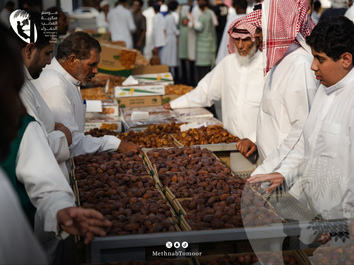 Dourado carmesim: Como as tâmaras Red Sukari colocaram Al-Mithnab no mapa agrícola da Arábia Saudita