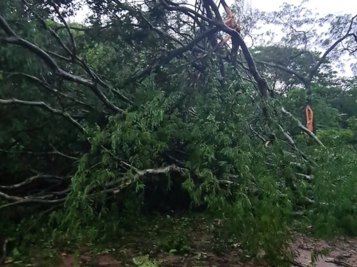 MG: temporal, granizo e ventos de até 60 km/h deixam 661 cidades sob alerta
