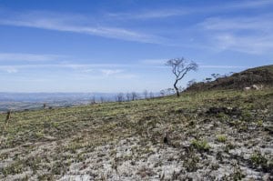 Planeta bate recorde de calor em agosto e marca 1,65°C acima da média