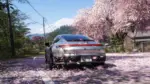 Forza Horizon 6 PS5 Data de Lançamento Confirmada